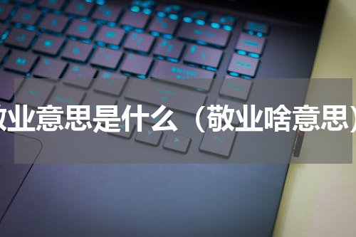 敬业意思是什么（敬业啥意思）