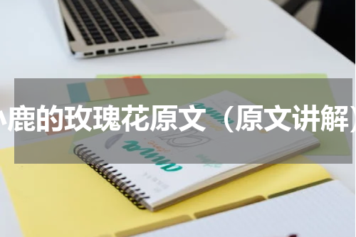 小鹿的玫瑰花原文（原文讲解）