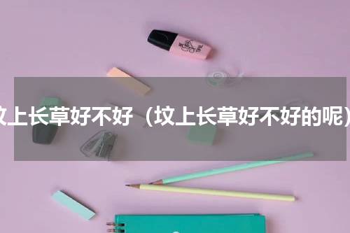 坟上长草好不好（坟上长草好不好的呢）
