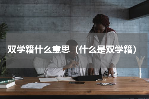 双学籍什么意思（什么是双学籍）