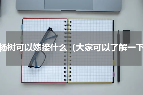 黄杨树可以嫁接什么（大家可以了解一下）