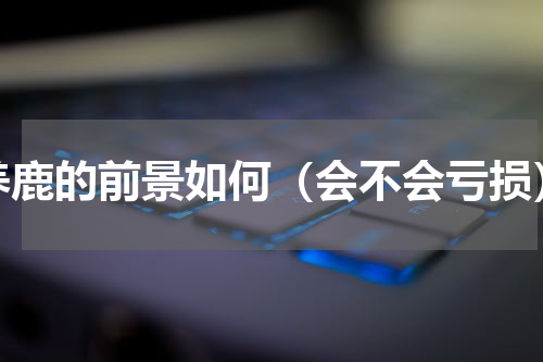 养鹿的前景如何（会不会亏损）