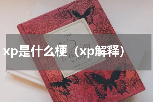 xp是什么梗（xp解释）