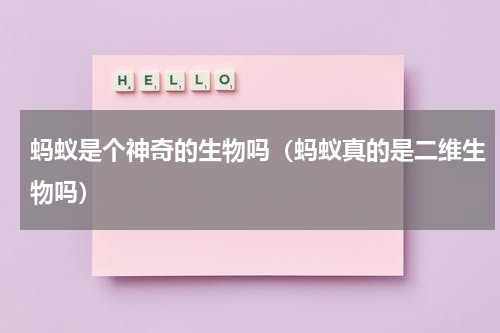 蚂蚁是个神奇的生物吗（蚂蚁真的是二维生物吗）