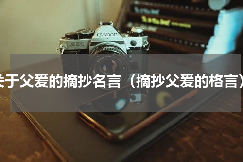 关于父爱的摘抄名言（摘抄父爱的格言）