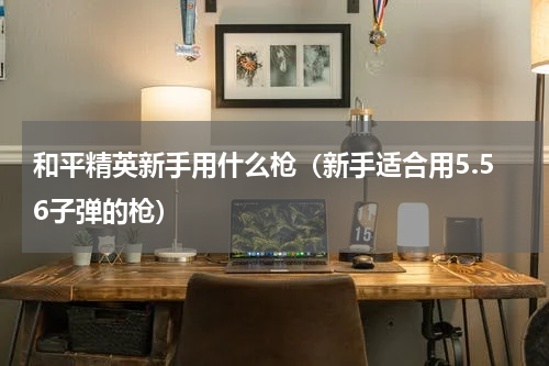 和平精英新手用什么枪（新手适合用5.56子弹的枪）