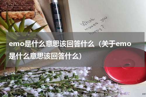 emo是什么意思该回答什么（关于emo是什么意思该回答什么）