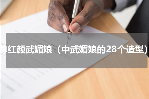 至尊红颜武媚娘（中武媚娘的28个造型）