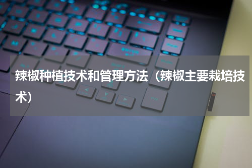 辣椒种植技术和管理方法（辣椒主要栽培技术）
