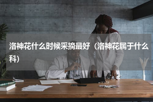 洛神花什么时候采摘最好（洛神花属于什么科）
