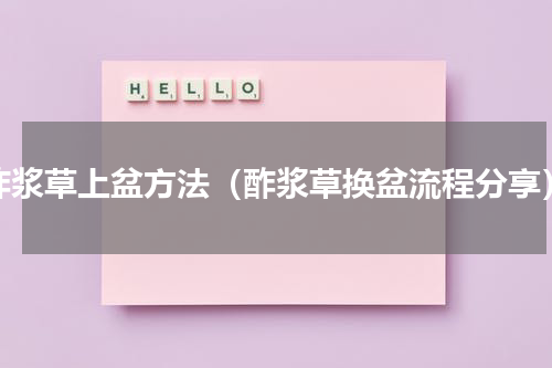 酢浆草上盆方法（酢浆草换盆流程分享）