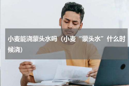 小麦能浇蒙头水吗（小麦“蒙头水”什么时候浇）