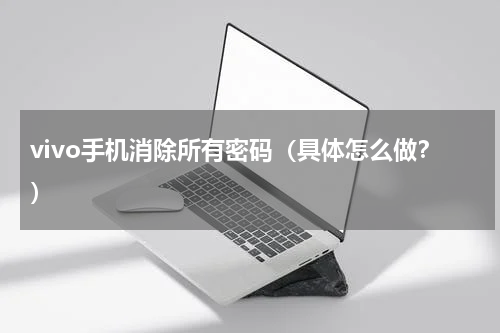vivo手机消除所有密码（具体怎么做？）