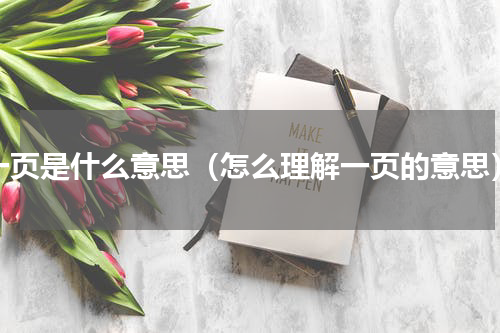 一页是什么意思（怎么理解一页的意思）