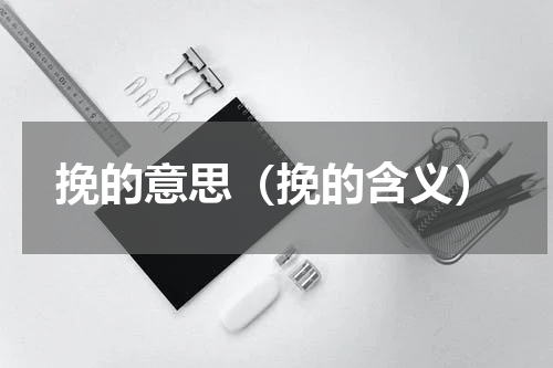 挽的意思（挽的含义）