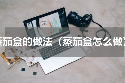 蒸茄盒的做法（蒸茄盒怎么做）