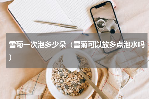 雪菊一次泡多少朵（雪菊可以放多点泡水吗）