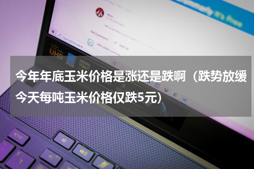 今年年底玉米价格是涨还是跌啊（跌势放缓今天每吨玉米价格仅跌5元）
