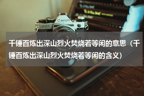 千锤百炼出深山烈火焚烧若等闲的意思（千锤百炼出深山烈火焚烧若等闲的含义）