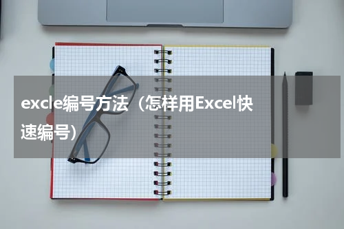 excle编号方法（怎样用Excel快速编号）