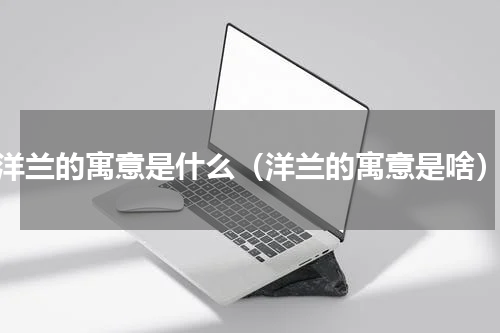 洋兰的寓意是什么（洋兰的寓意是啥）