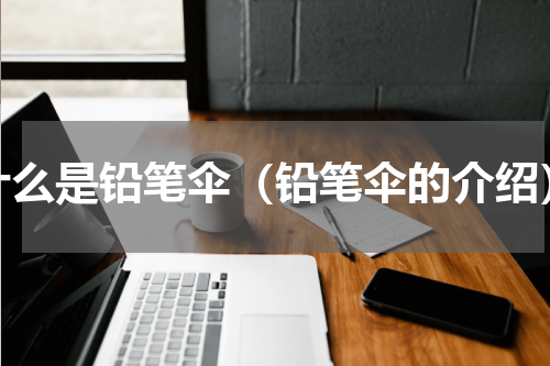 什么是铅笔伞（铅笔伞的介绍）