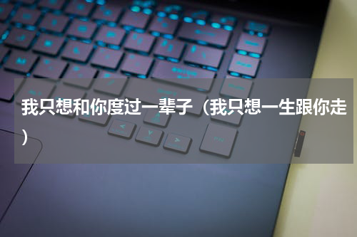 我只想和你度过一辈子（我只想一生跟你走）