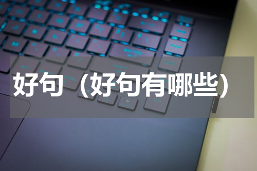 好句（好句有哪些）