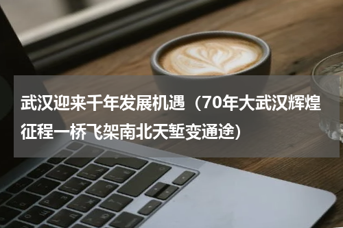 武汉迎来千年发展机遇（70年大武汉辉煌征程一桥飞架南北天堑变通途）