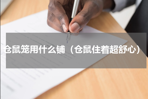 仓鼠笼用什么铺（仓鼠住着超舒心）