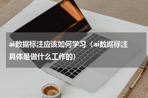 ai数据标注应该如何学习（ai数据标注具体是做什么工作的）