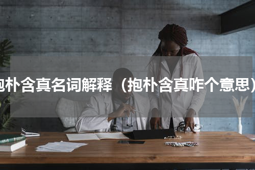 抱朴含真名词解释（抱朴含真咋个意思）