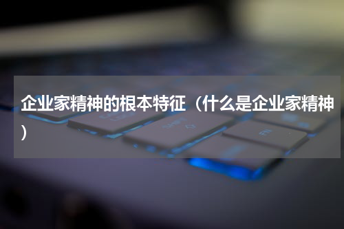 企业家精神的根本特征（什么是企业家精神）