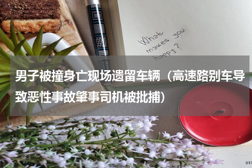 男子被撞身亡现场遗留车辆（高速路别车导致恶性事故肇事司机被批捕）