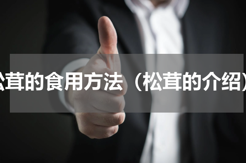 松茸的食用方法（松茸的介绍）