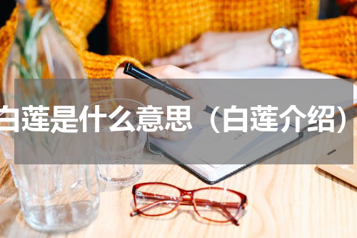 白莲是什么意思（白莲介绍）