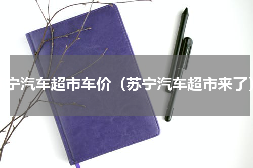 苏宁汽车超市车价（苏宁汽车超市来了）