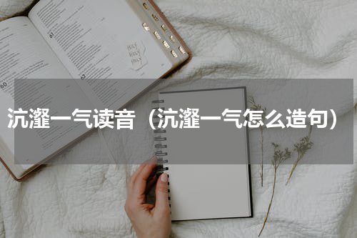 沆瀣一气读音（沆瀣一气怎么造句）