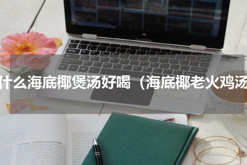为什么海底椰煲汤好喝（海底椰老火鸡汤）