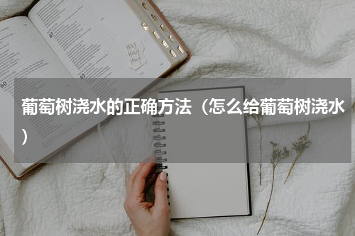 葡萄树浇水的正确方法（怎么给葡萄树浇水）