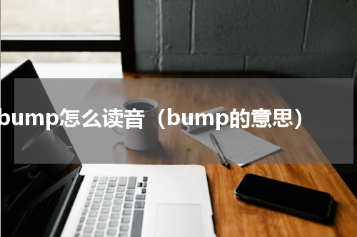 bump怎么读音（bump的意思）