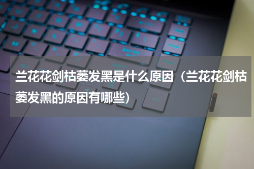 兰花花剑枯萎发黑是什么原因（兰花花剑枯萎发黑的原因有哪些）