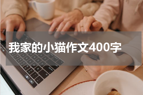 我家的小猫作文400字