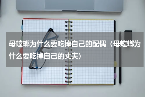 母螳螂为什么要吃掉自己的配偶（母螳螂为什么要吃掉自己的丈夫）