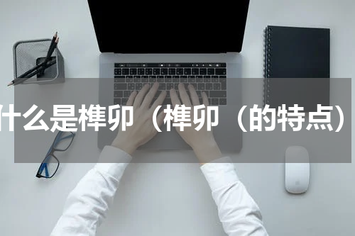 什么是榫卯（榫卯（的特点）