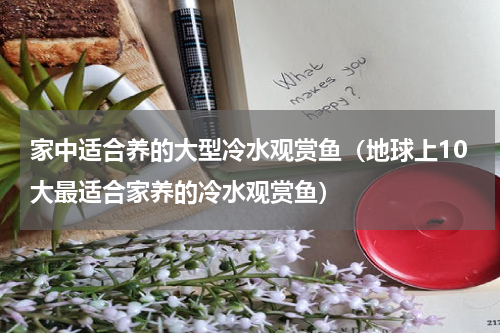 家中适合养的大型冷水观赏鱼（地球上10大最适合家养的冷水观赏鱼）
