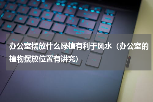 办公室摆放什么绿植有利于风水（办公室的植物摆放位置有讲究）