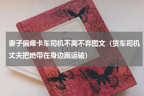 妻子偏瘫卡车司机不离不弃图文（货车司机丈夫把她带在身边跑运输）