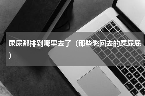 屎尿都排到哪里去了（那些憋回去的屎尿屁）