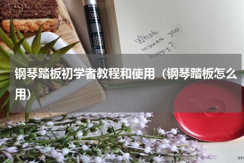 钢琴踏板初学者教程和使用（钢琴踏板怎么用）